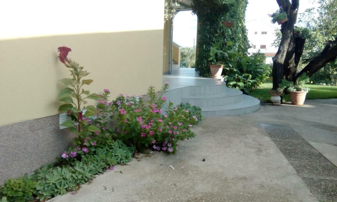 Apartments Meri Водице Екстериор снимка